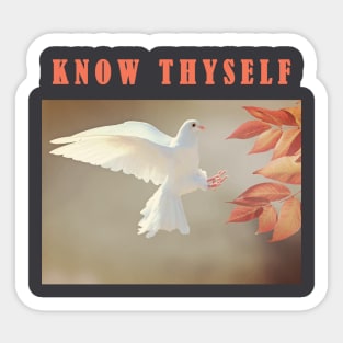 KNOW THYSELF Sticker